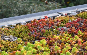 the cost of Connor Downs green roof installation