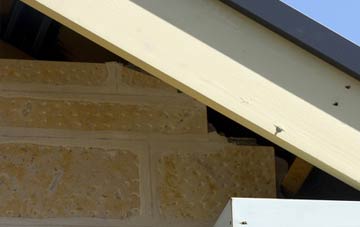 soffit repair Connor Downs